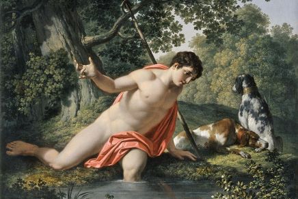 Irena Matijašević: Narcis