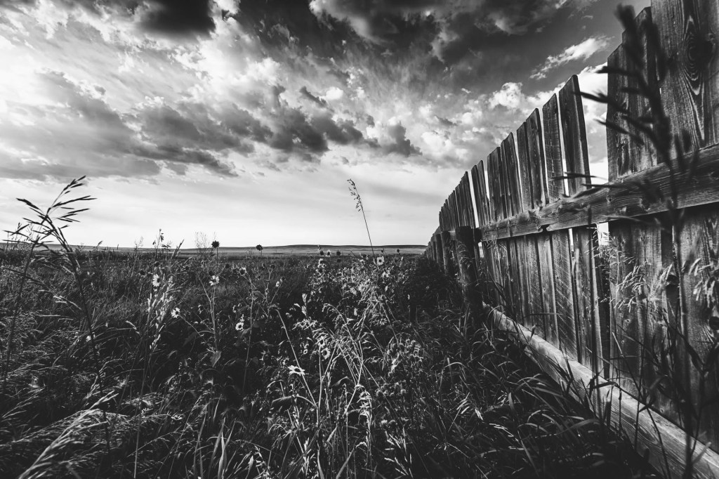 rural alberta landscape-b&w field-southern alberta