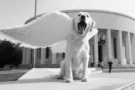 Zlatko Hasanbegović – Doajen ustaških demonstracija protiv imena Trga žrtava&nbsp;fašizma