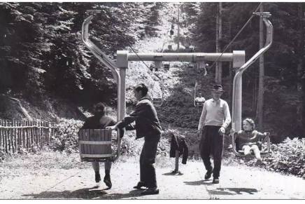 Paraistorijski mirakul  Vučić–Kitarović