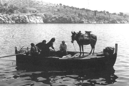 Bilježnica Robija K.:  Govno i&nbsp;vitamini