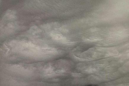 MOGU LI SE IZA JASENOVCA PISATI&nbsp;PJESME?