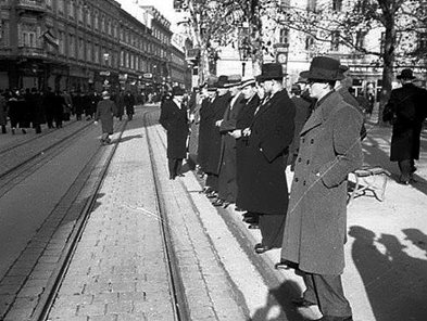 13087394_274862466186866_2273965819050975225_n