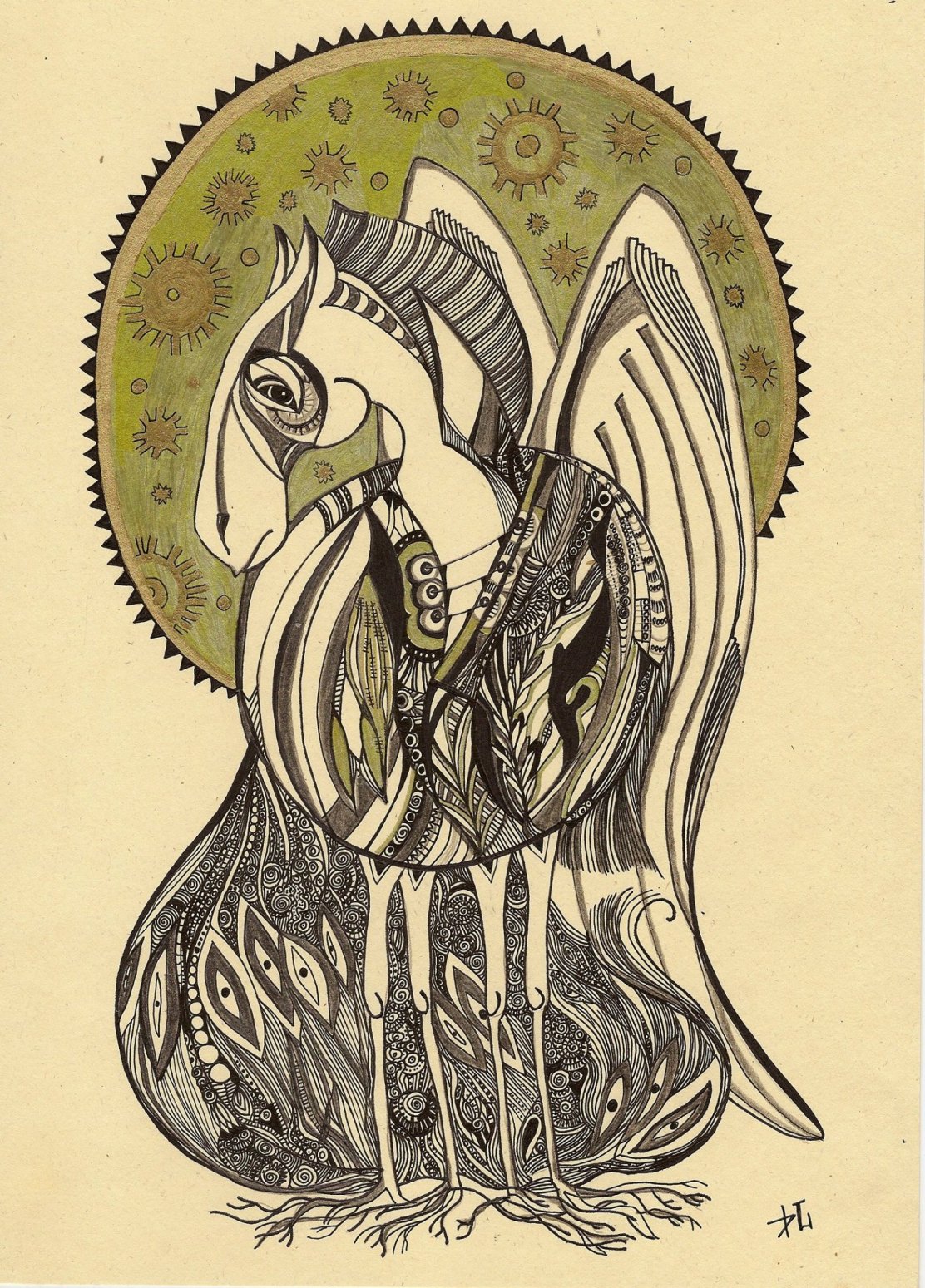 13334356_511359959058131_1082297623_o