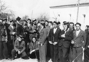 Đurđa Knežević: Srb na&nbsp;Srb