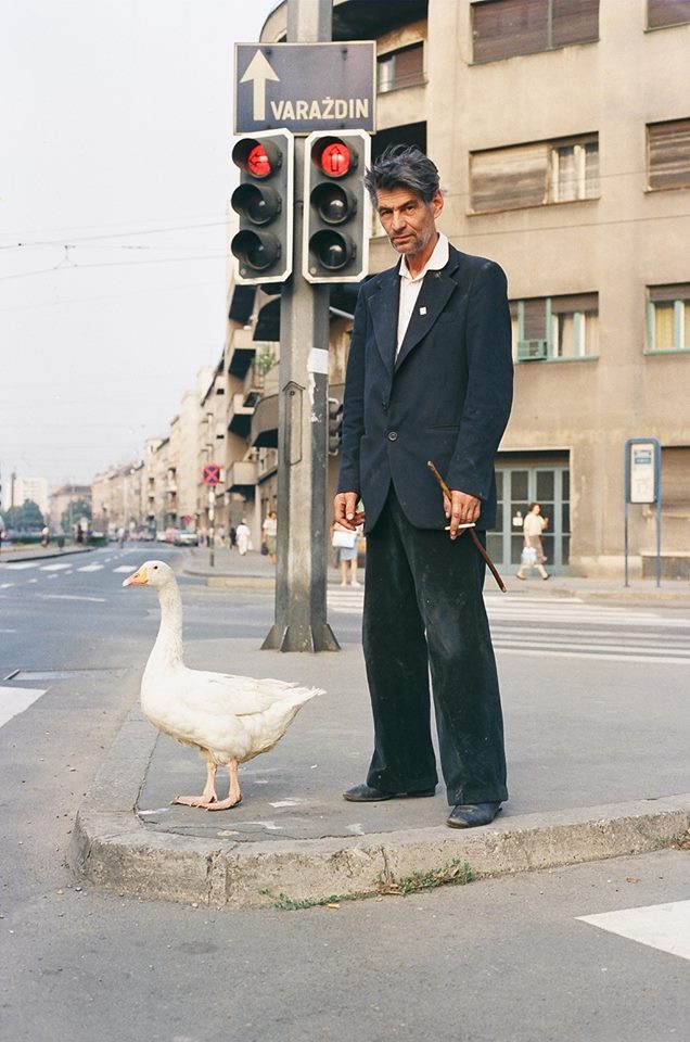 12644812_539310309574941_8535844679654609610_n