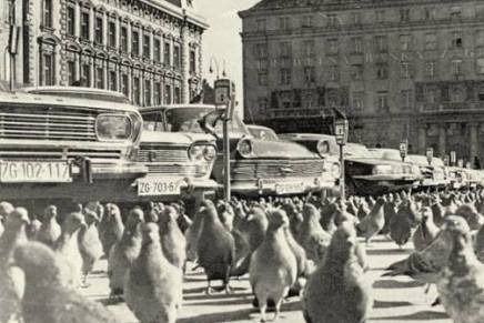 Ines Šaškor: Mladi su konzervativni, netolerantni i slabo&nbsp;obrazovani