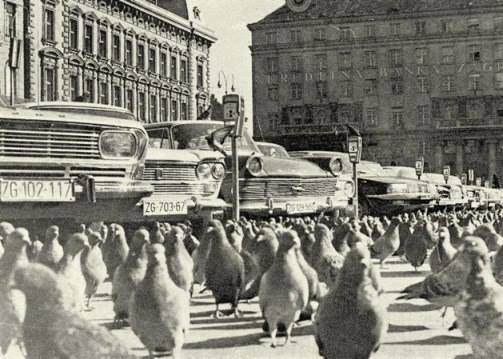Trg Republike; snimio Drago Lipić 1970'
