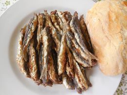 RIBICE SVETOGA FRANJE