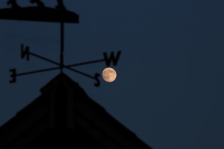 RASELJENOST, PUTNA UVESELJENOST