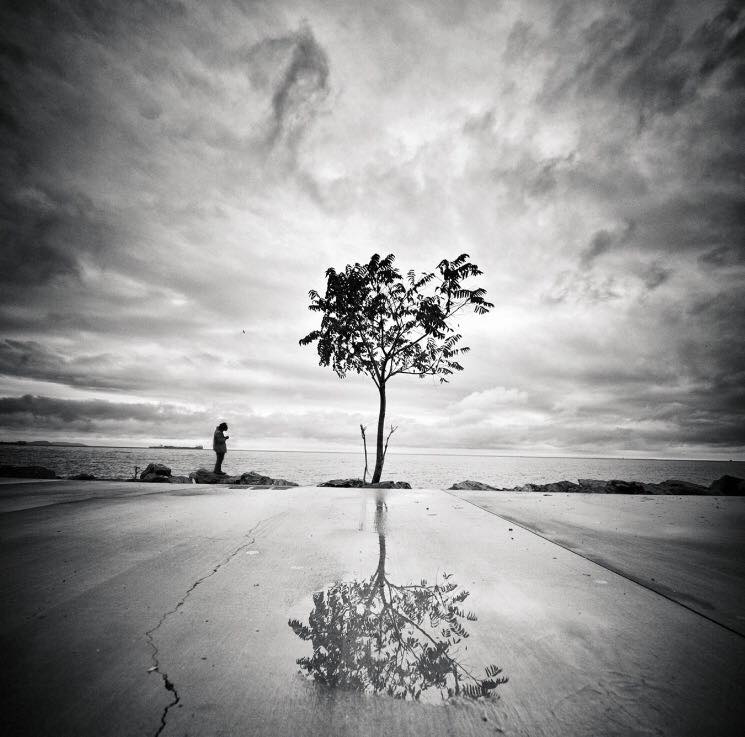 12366195_1013538708702305_1826471325354662255_n