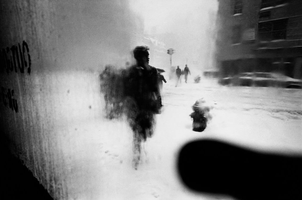 12697196_1253581467989083_3709064133908860348_o