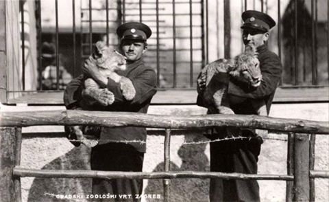 993540_1746700845561771_990578492293073764_n