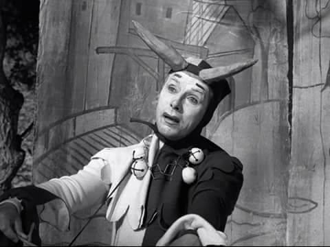 12348099_1054122474651993_3365492829741994189_n