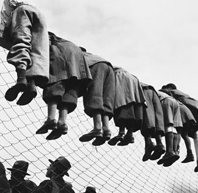 13962566_10210738622808167_5054500662074655644_n