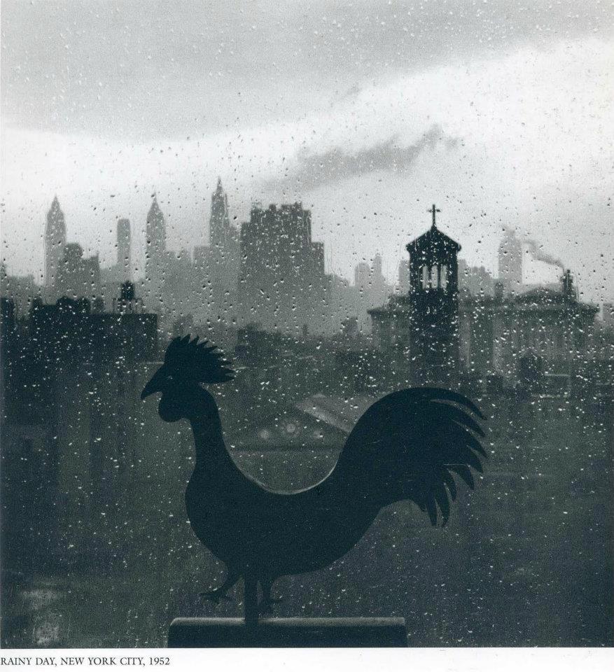 544388_408164929234916_482894559_n