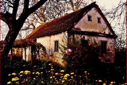 Božica Jelušić: BATINSKE, NA DAN&nbsp;MRTVIH