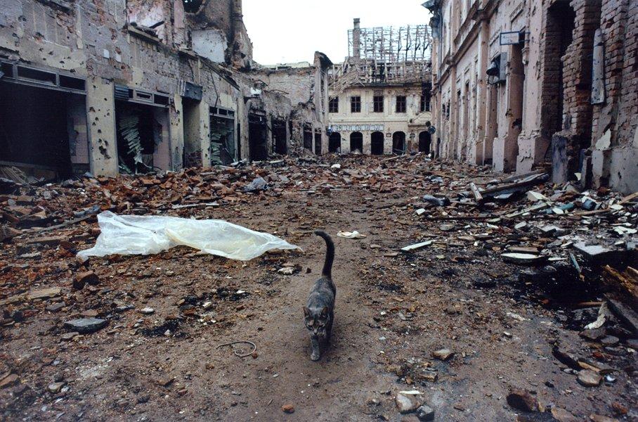 Vukovar uoči okupacije 1991.