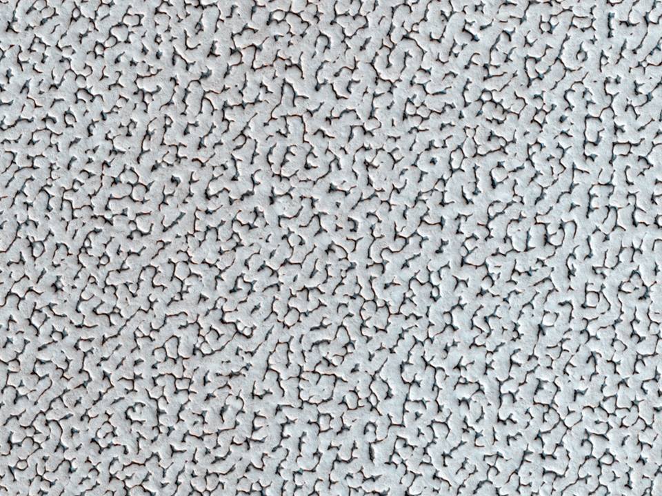 10299550_10202634973889787_8683831689221845279_n