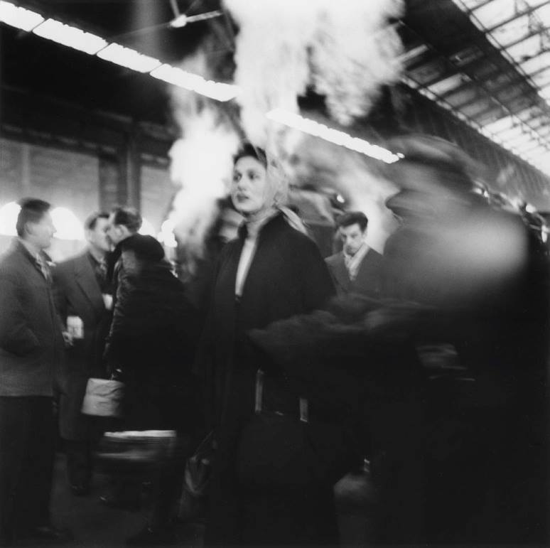 11002591_1033429690004263_2618014448522376594_n