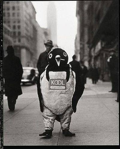 14212194_1246863368699767_3743045199816506325_n