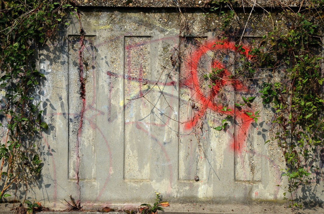 Fotografija: Jovica Drobnjak