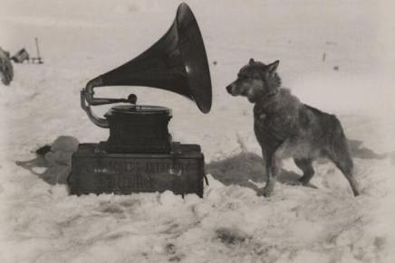 Vjersko nasilje kao uvod u totalitarno&nbsp;društvo