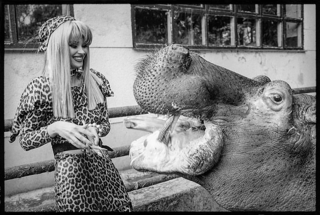 Fotografija: Boris Štajduhar