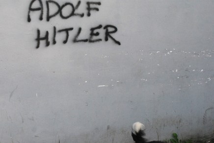 Da, Plenković je moderni&nbsp;fašist