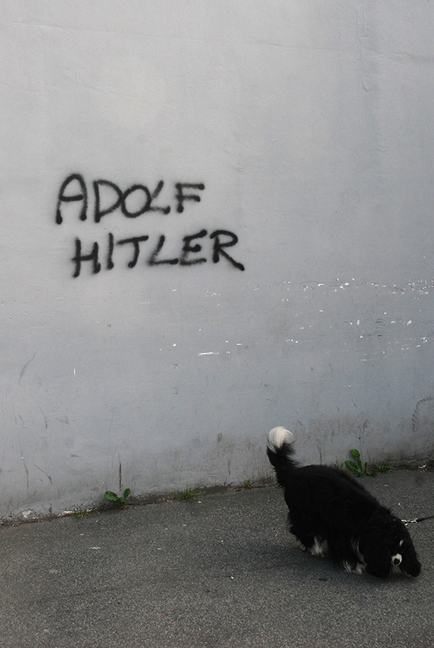 Fotografija: Jovica Drobnjak