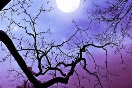 Božica Jelušić: MARININ GROZD, u&nbsp;pedesetoj