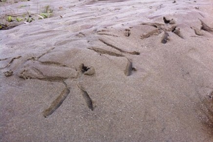 Božica Jelušić: JANUARSKO&nbsp;HODOČAŠĆE