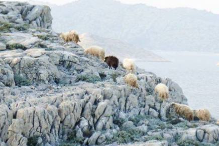 Božica Jelušić: REIKI NA&nbsp;SNIJEGU