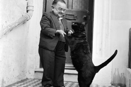 Barbara Pogačnik: Loviti&nbsp;rep