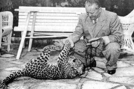 Bilježnica Robija K.: Tramp na&nbsp;Brionima