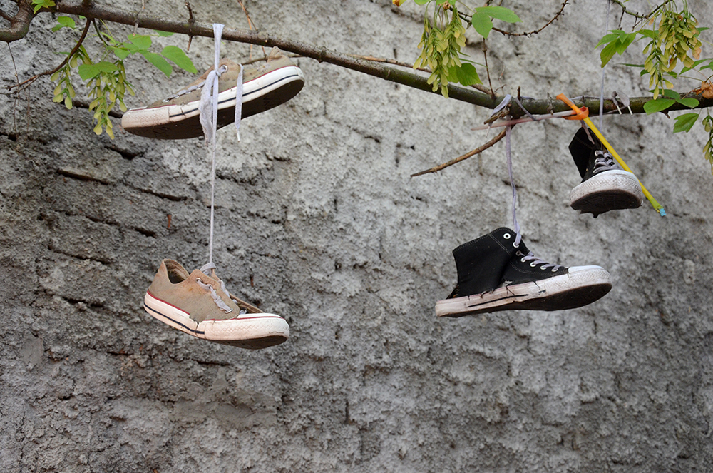 Fotografija: Jovica Drovnjak