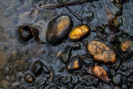 Božica Jelušić: POBRATIMSTVO PO&nbsp;KIŠI