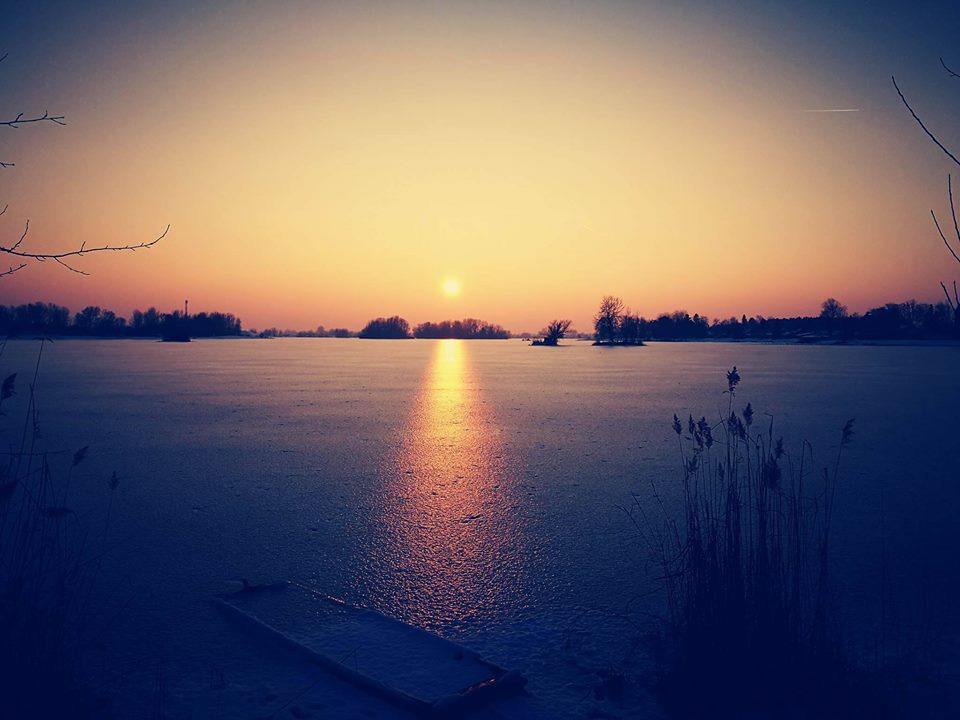 Ilustracija: Leo Sačer