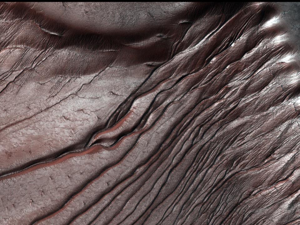 1014086_10202041583895408_611604936_n