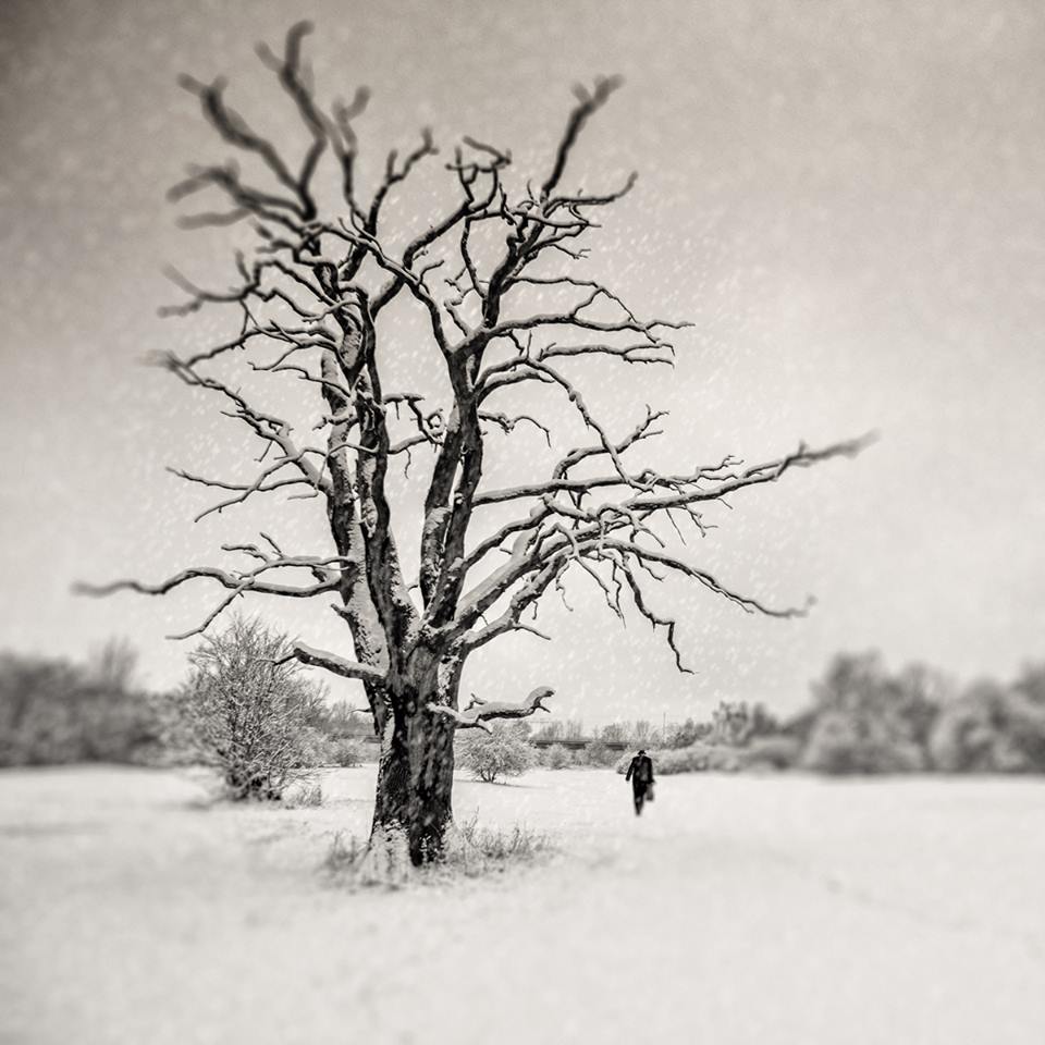 12508955_758932154211462_5398653921461048200_n