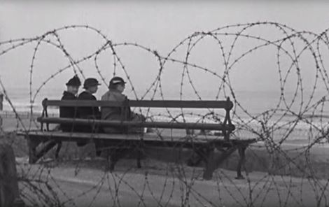 12733491_997304213648588_173787790294625932_n