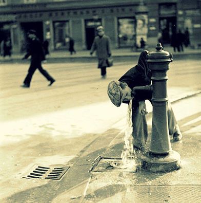 13631631_1725449841042888_3789298967758395206_n