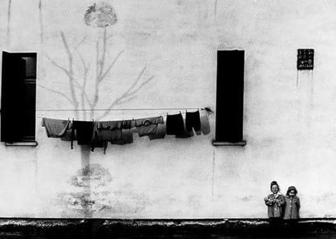 13726693_1209134922484080_5762720018409538644_n