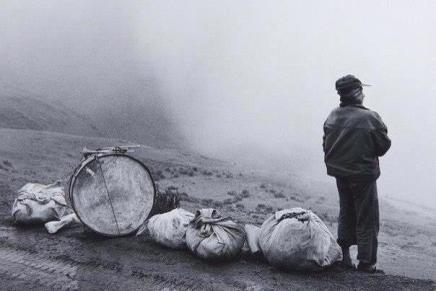 Budućnost naše djece: fantomski kitovi i&nbsp;micro:bitovi