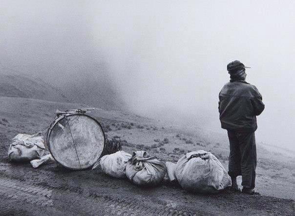 1497666_10202732638828223_5772331986516056078_n