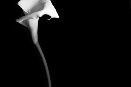 Ana Nikvul: Noćas sam malo&nbsp;umrla