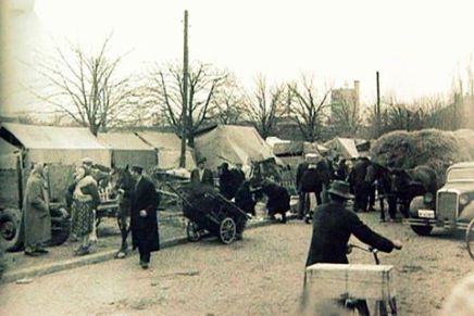 Dragan Aleksić: KRALJ SVIH&nbsp;PESNIKA