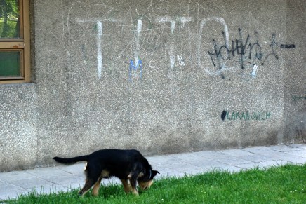 Duško Babić: ALBANSKI&nbsp;JAZAVČAR