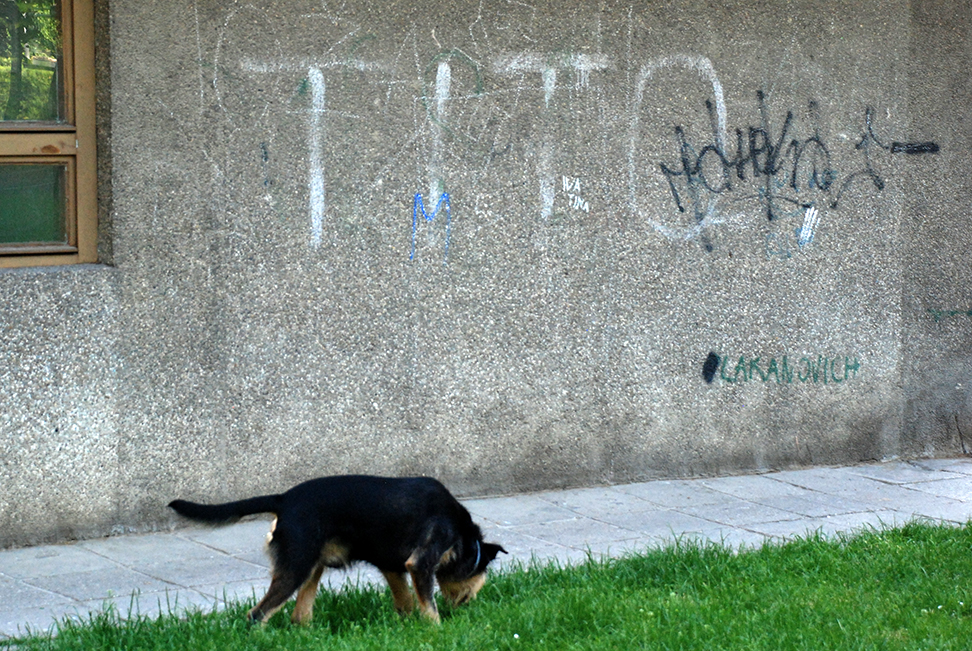 jovica-drobnjak_0064718