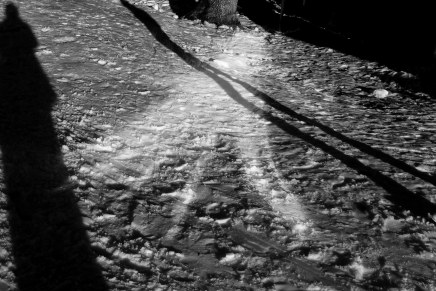 Krajem zime: Zagreb – Jasenovac – Osijek – Vukovar – Vinkovci i natrag u jednom&nbsp;danu